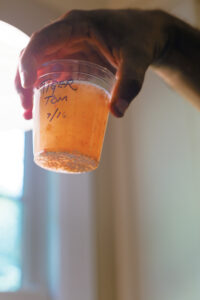 person holding a plastic cup filled with orange liquid with small seeds settled at the bottom with Tiger Tom 7/16 written on the side
